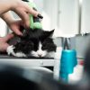Katzen Grooming Tools