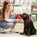 BARF kaufen: Tipps für gesunde Hundefütterung