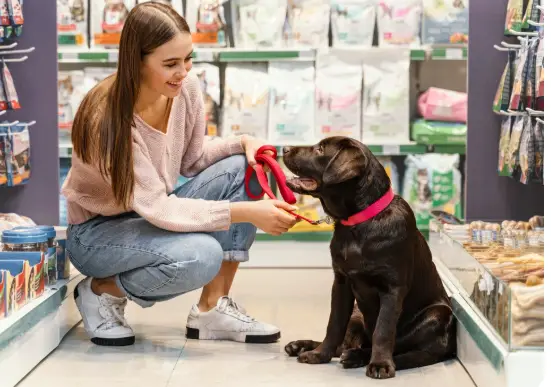 BARF kaufen: Tipps für gesunde Hundefütterung