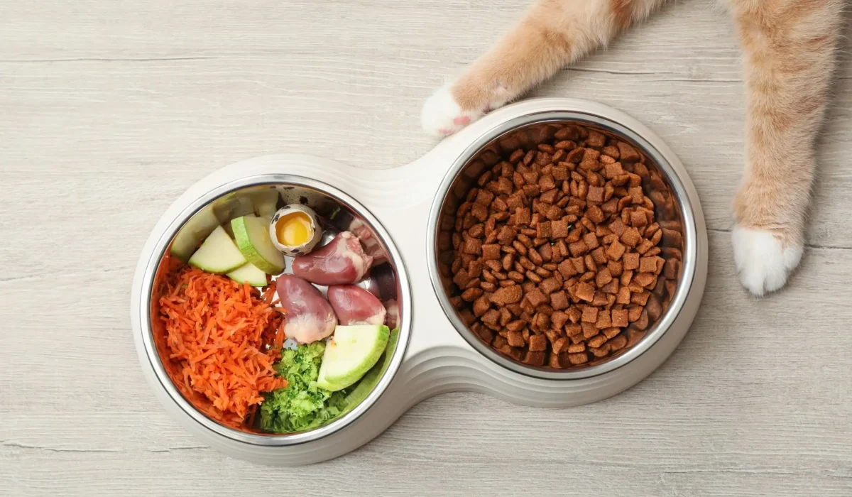 Katzenfutter Arten